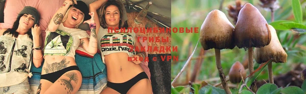 MESCALINE Богородицк