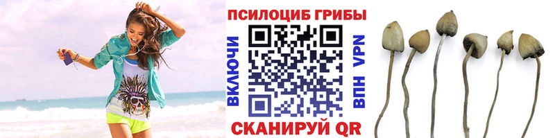 даркнет Telegram  купить наркотики цена  Назарово  Псилоцибиновые грибы мухоморы 